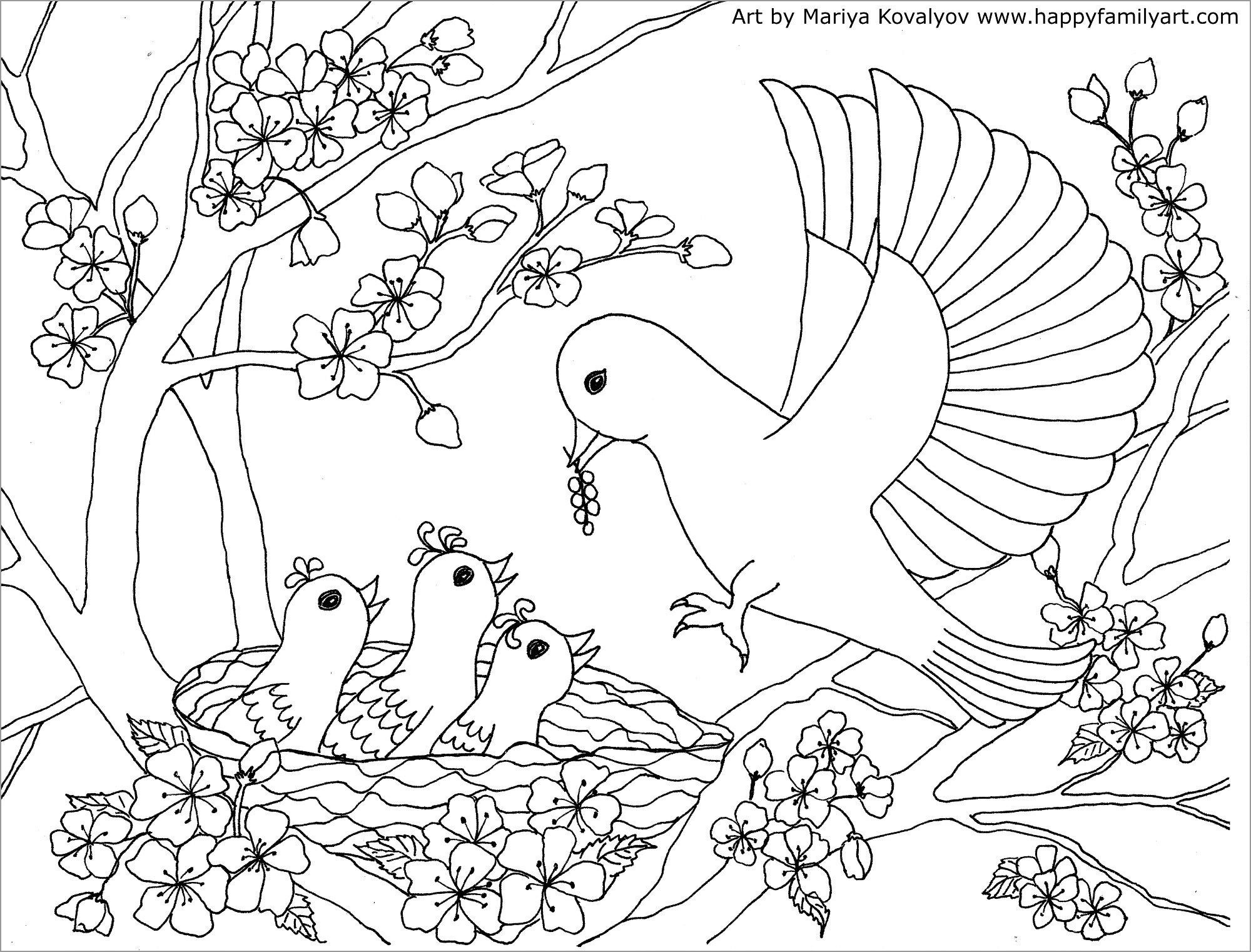 Bird Moms and Baby Coloring Page