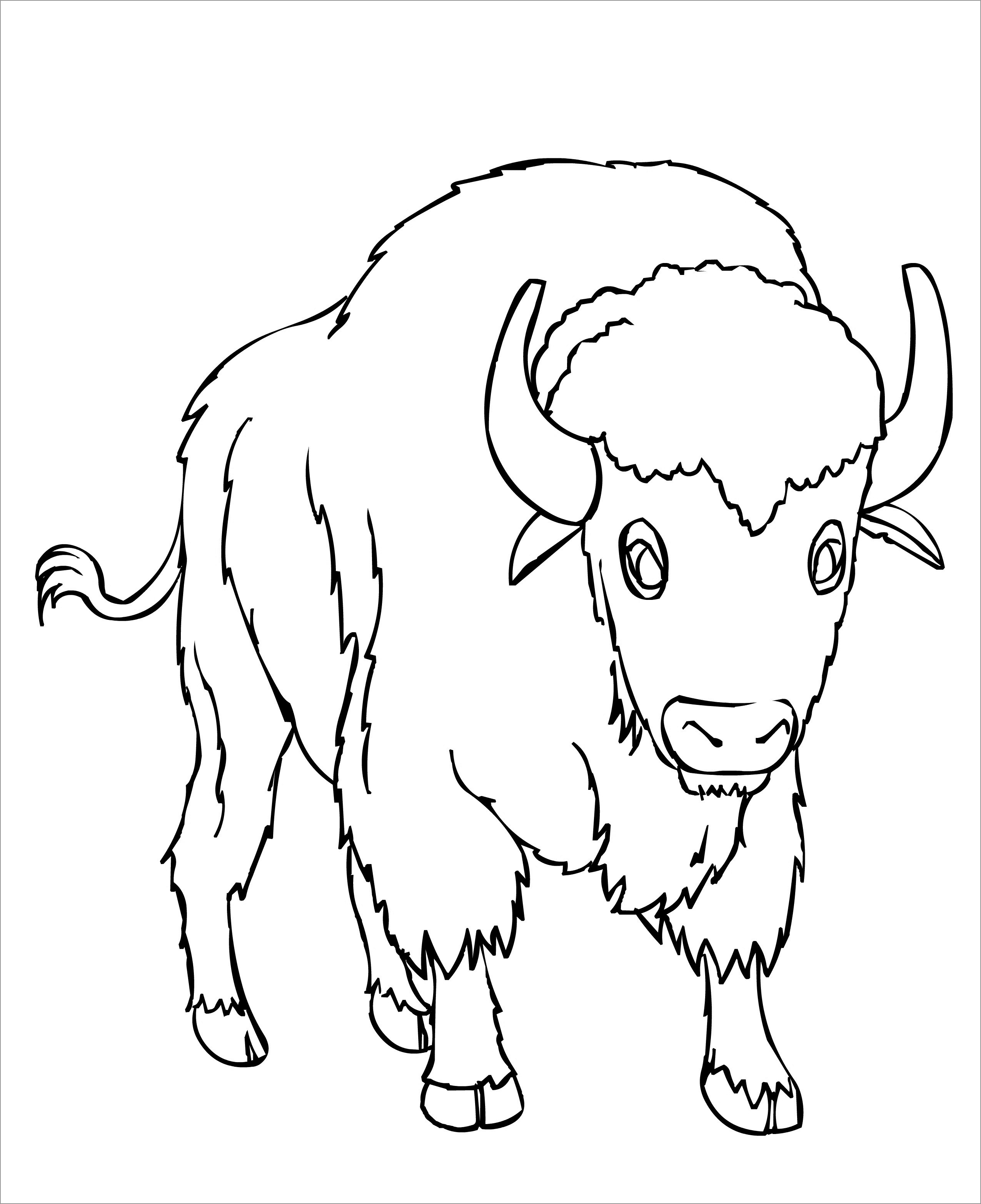 Bison Coloring Pages Free