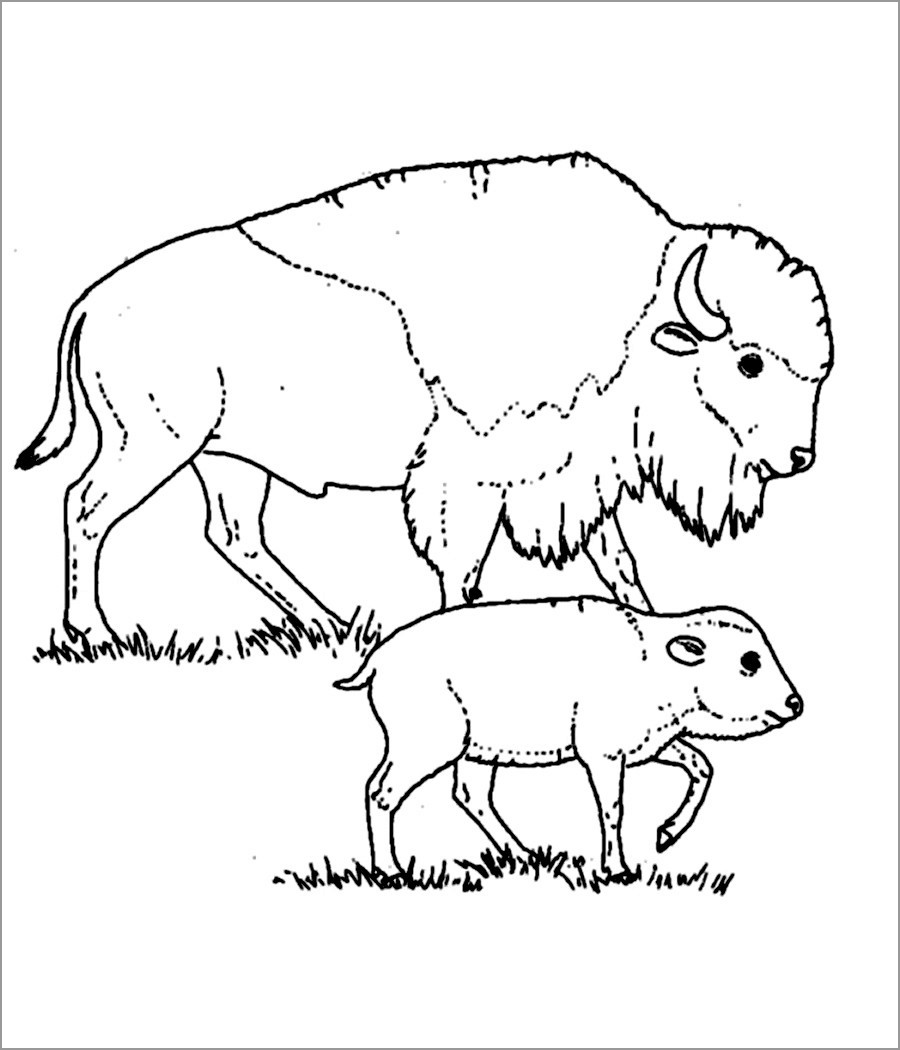 Bison Moms and Baby Coloring Page