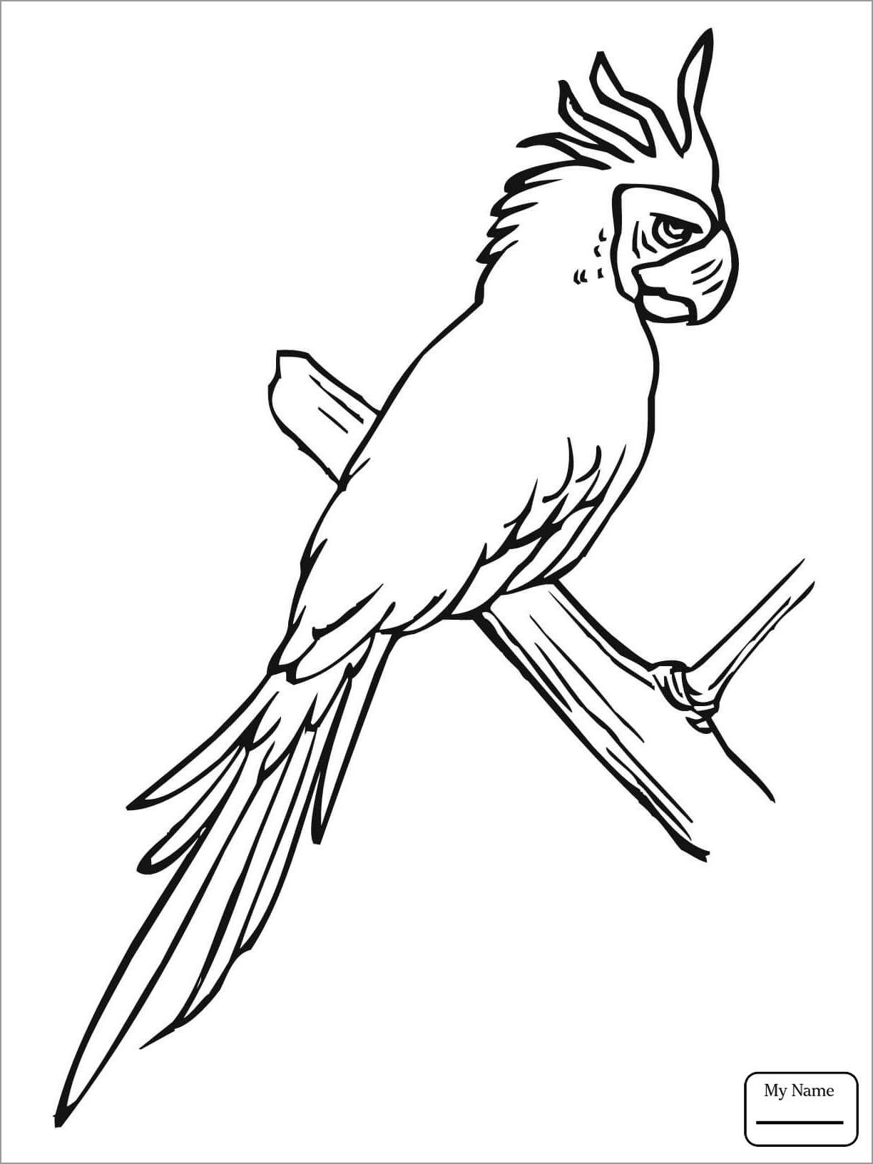 Blue Macaw Coloring Pages