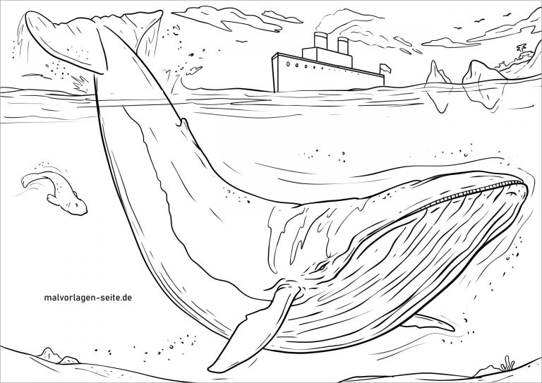 Blue Whale Coloring Page - ColoringBay