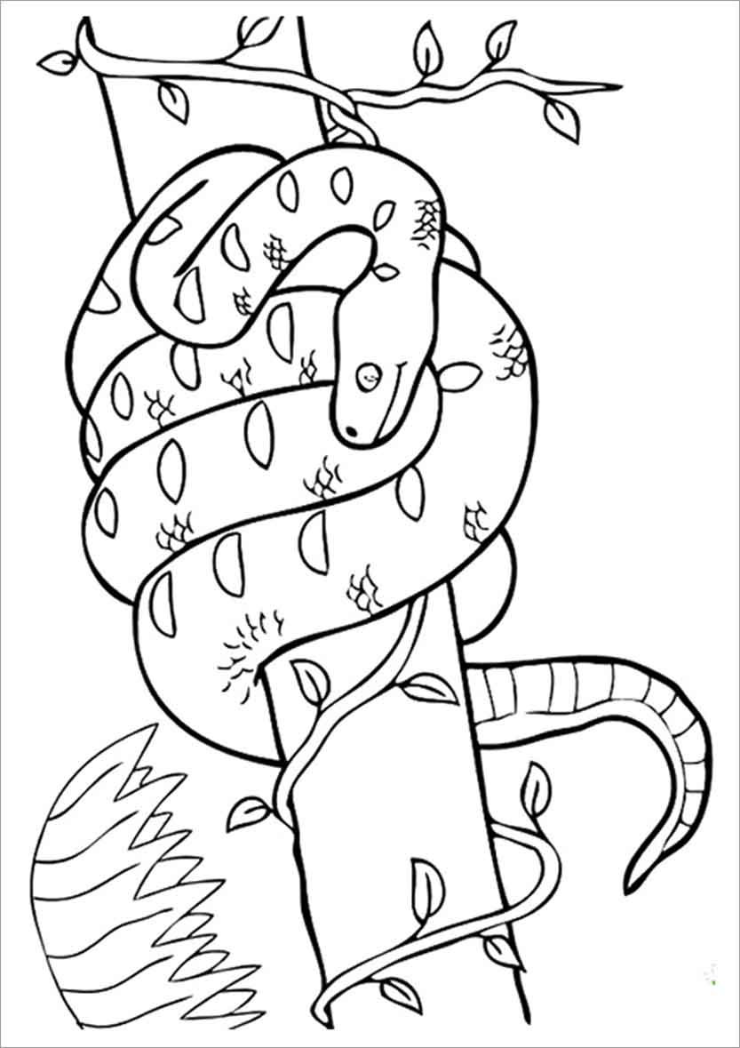 Boa Snake Lives In Trees Coloring Pages