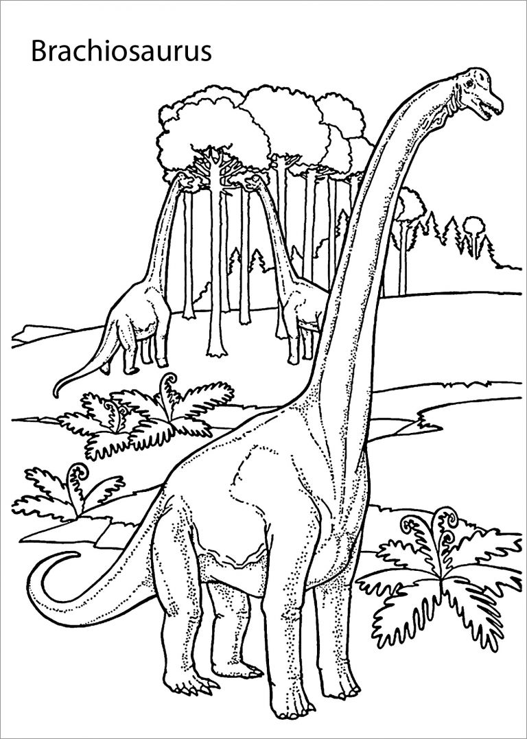 Brachiosaurus Dinosaurs Coloring Page - ColoringBay
