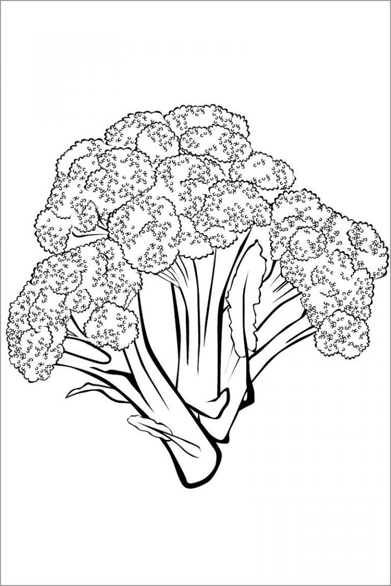 Fresh Broccoli Coloring Page - ColoringBay