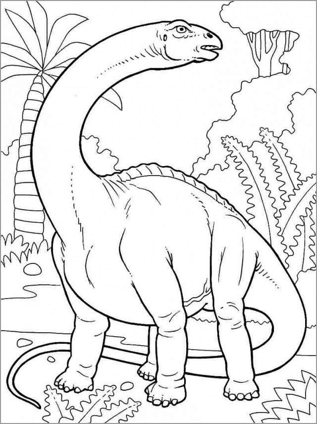 Brontosaurus Dinosaurs Coloring Page