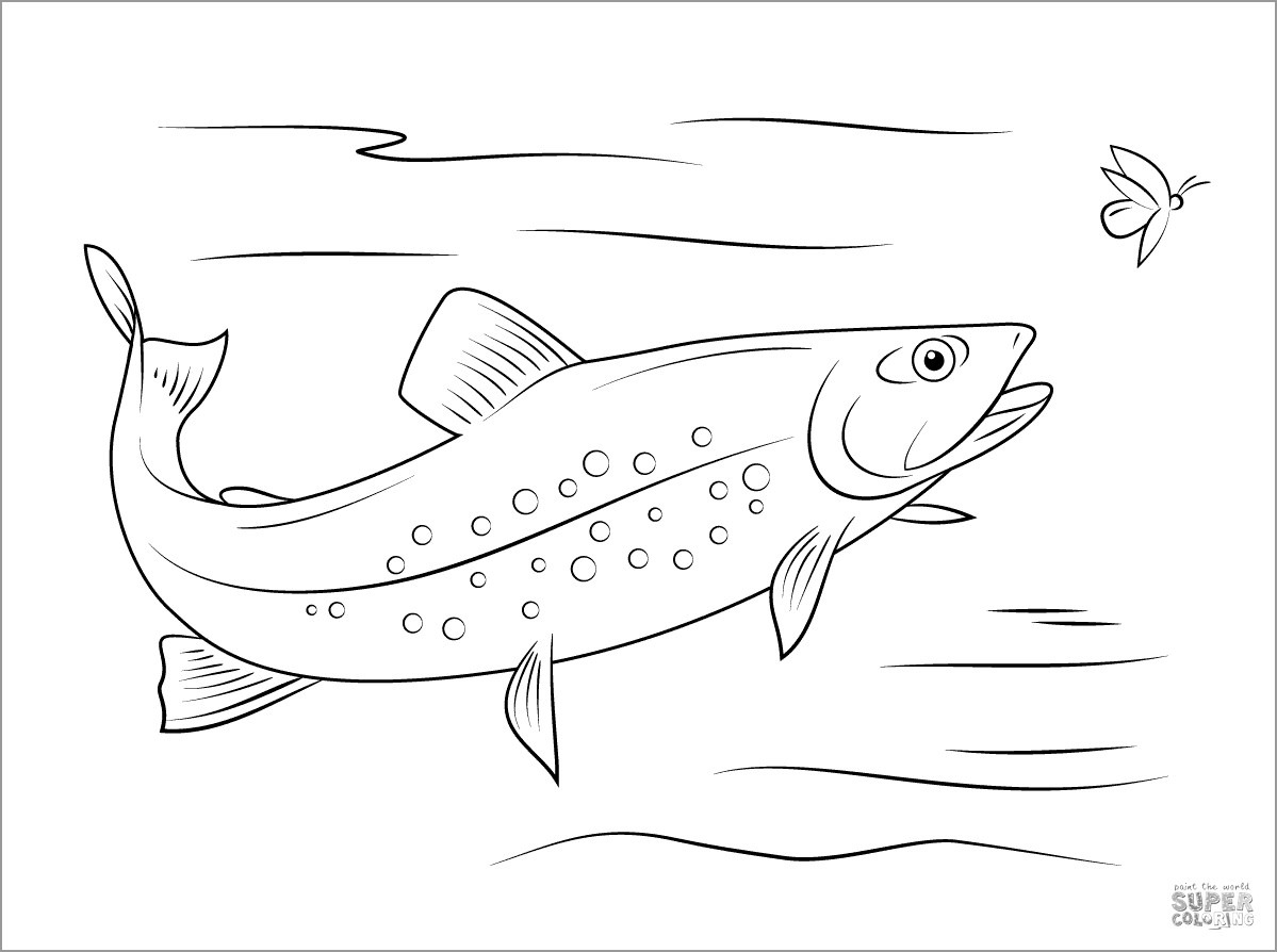 Trouts Coloring Pages