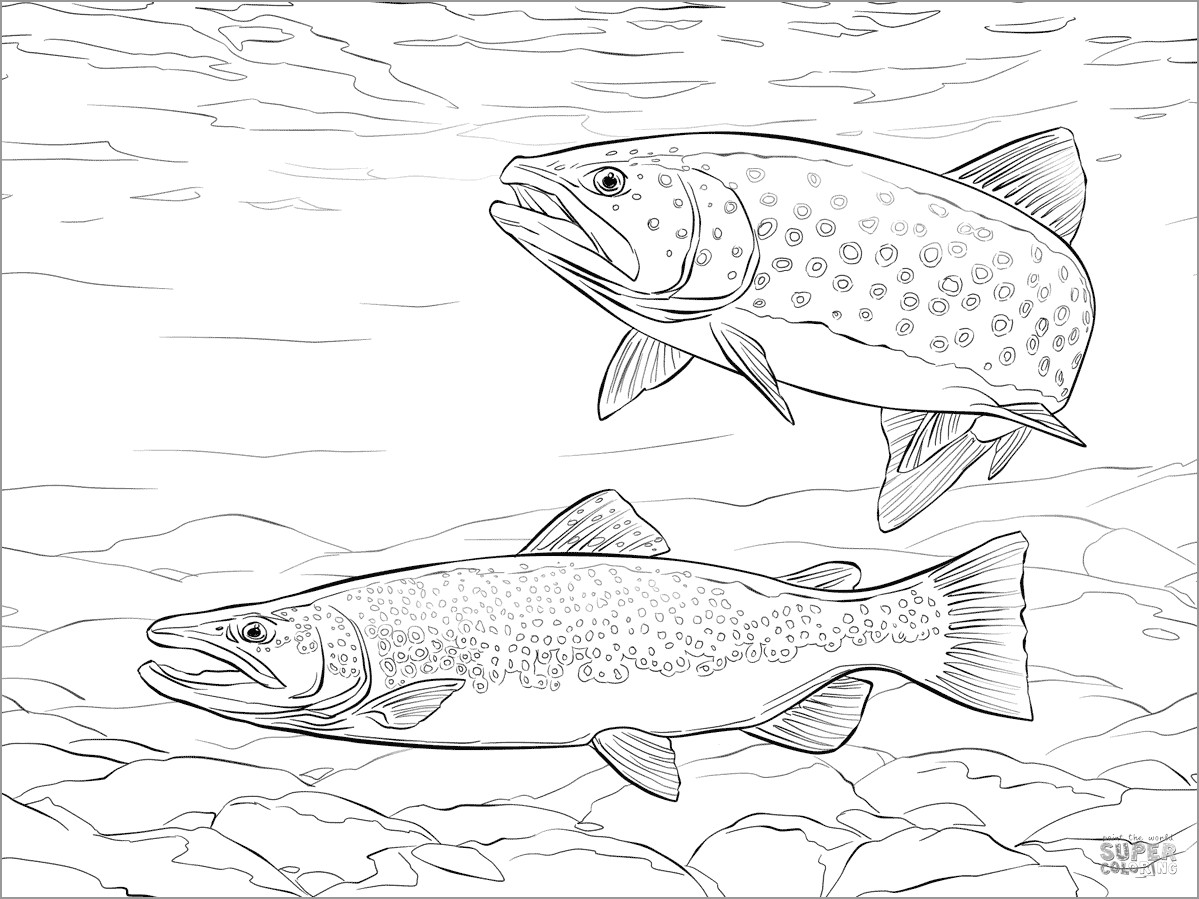 Brown Trout Coloring Page