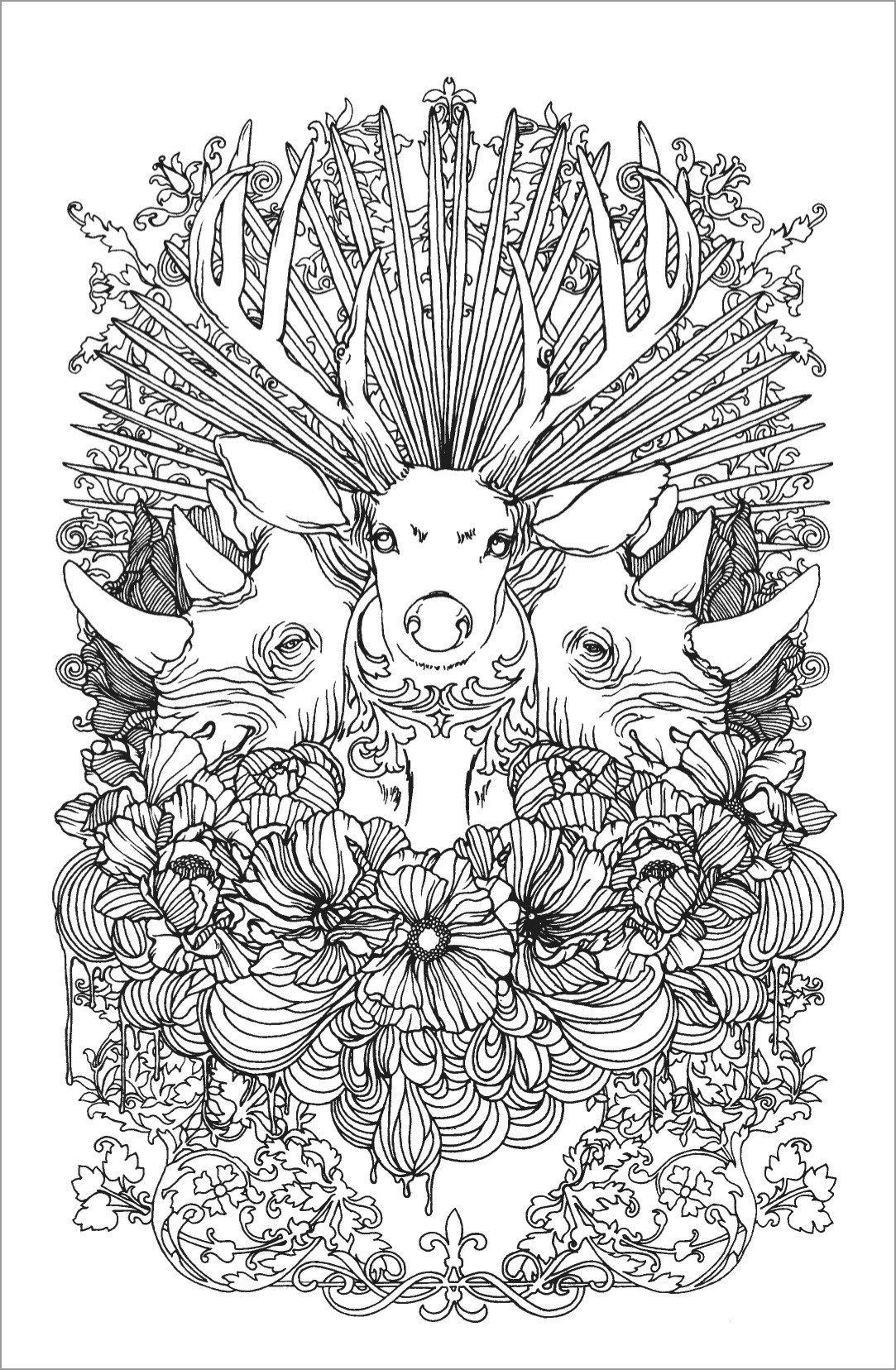Buck and Rhino Coloring Page for Adult