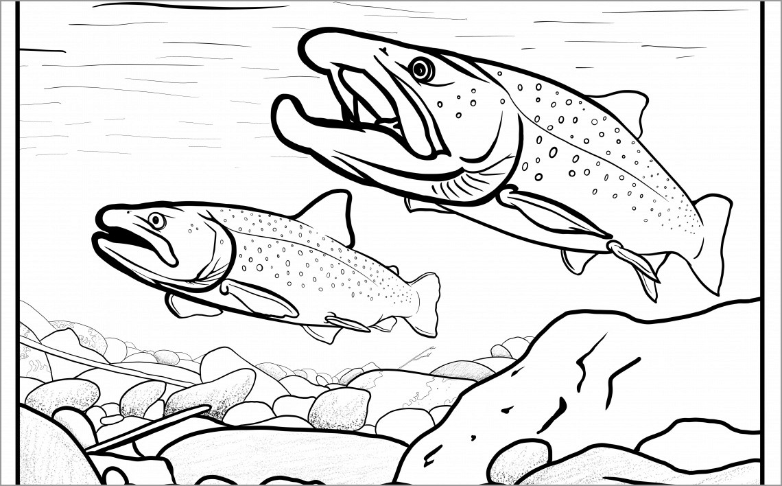 Bull Trout Coloring Page