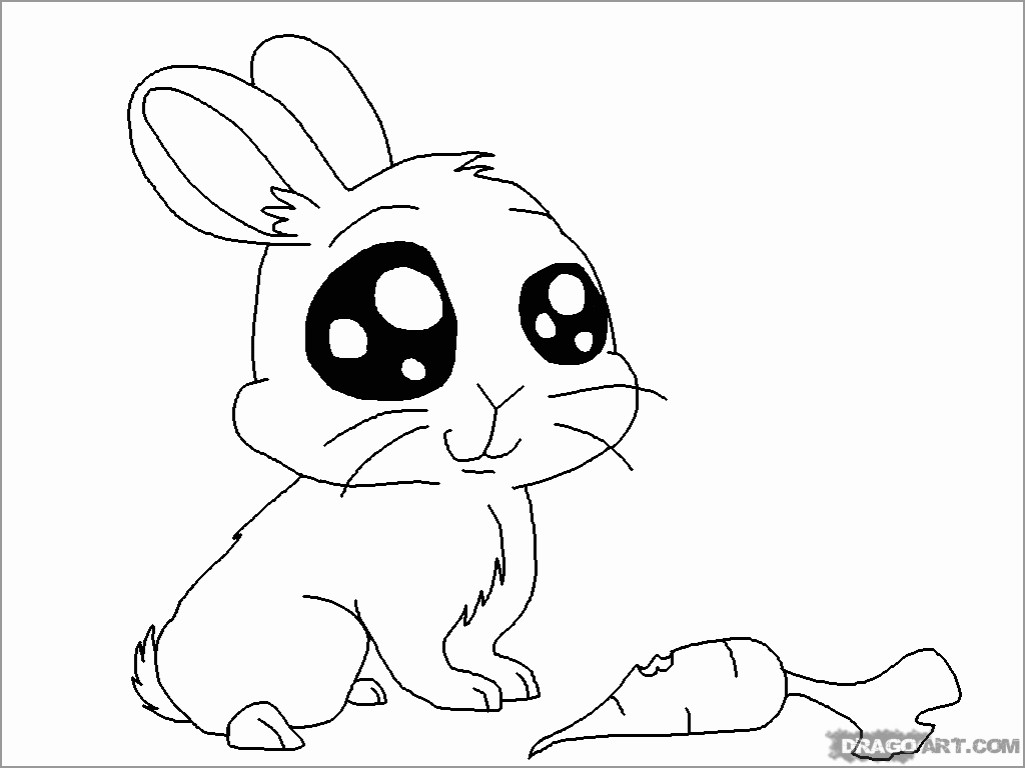 Bunny Anime Animals Coloring Page   ColoringBay