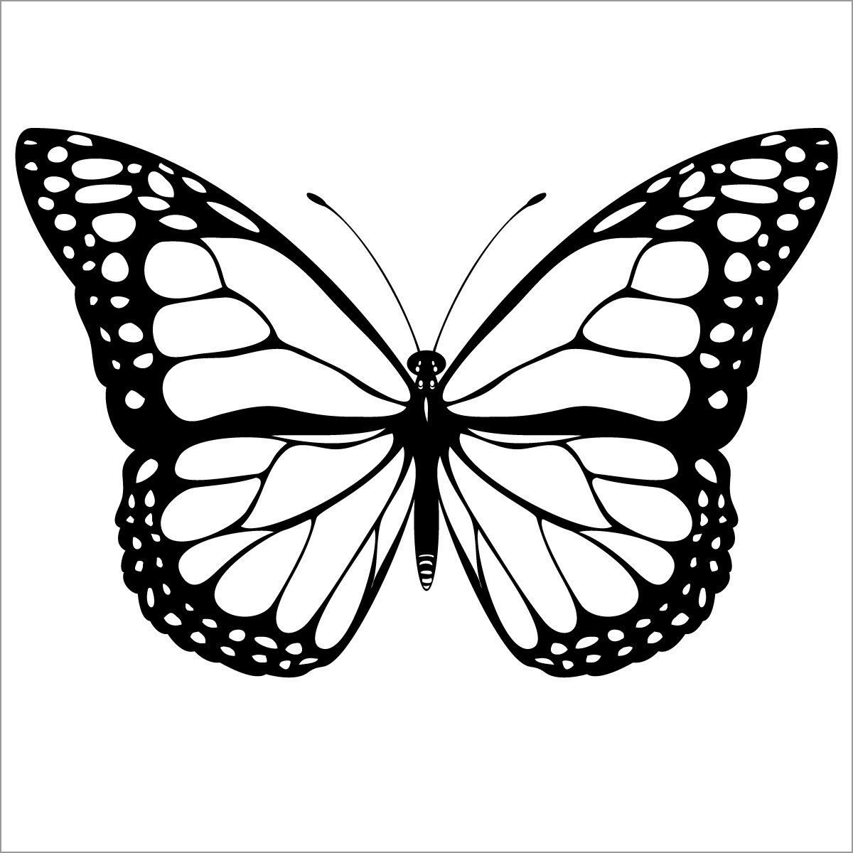 Butterfly Coloring Pages for Kids
