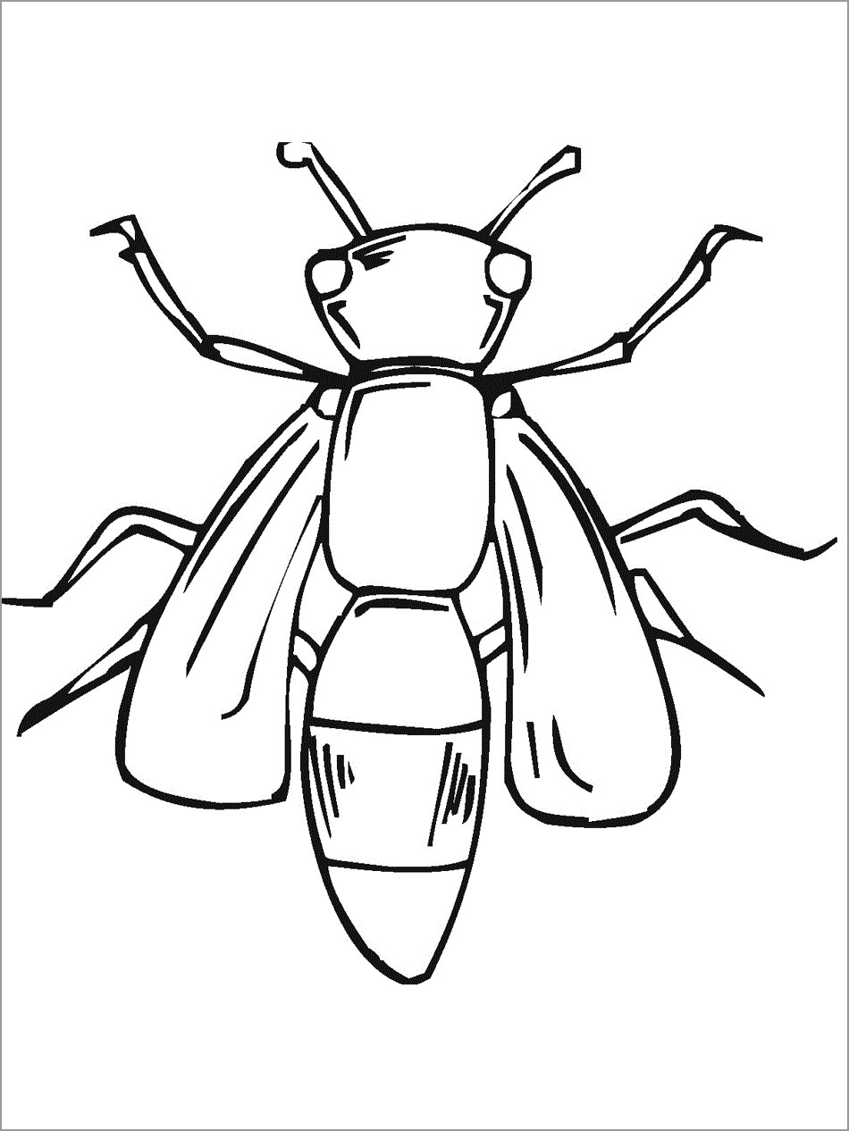 Butterfly Locust Flowers Insect Coloring Page