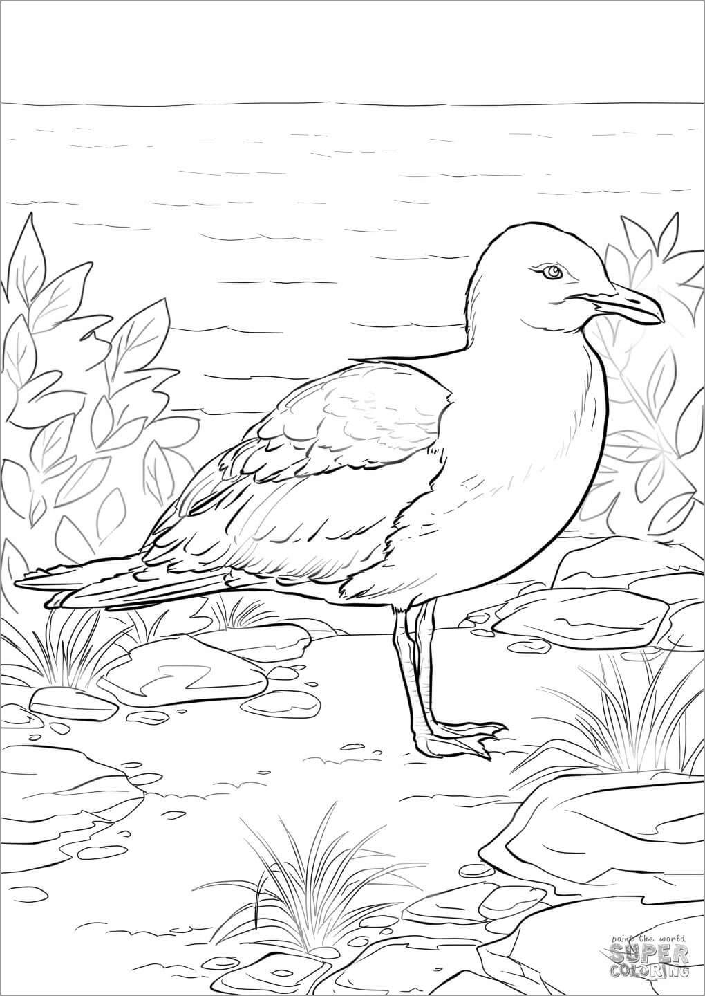 California Seagulls Coloring Page