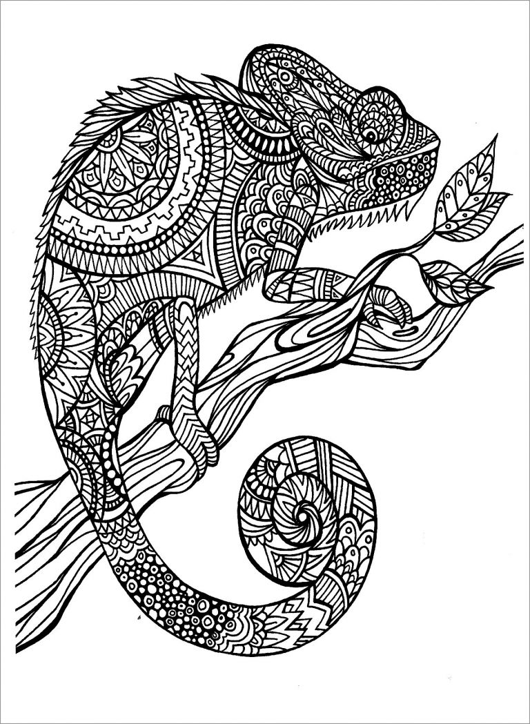 frilled-lizard-coloring-page-for-kids-coloringbay