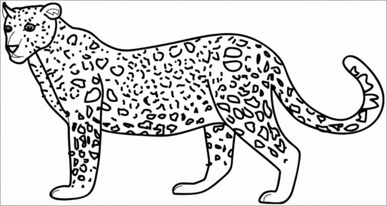 Realistic Cheetah Coloring Page - ColoringBay