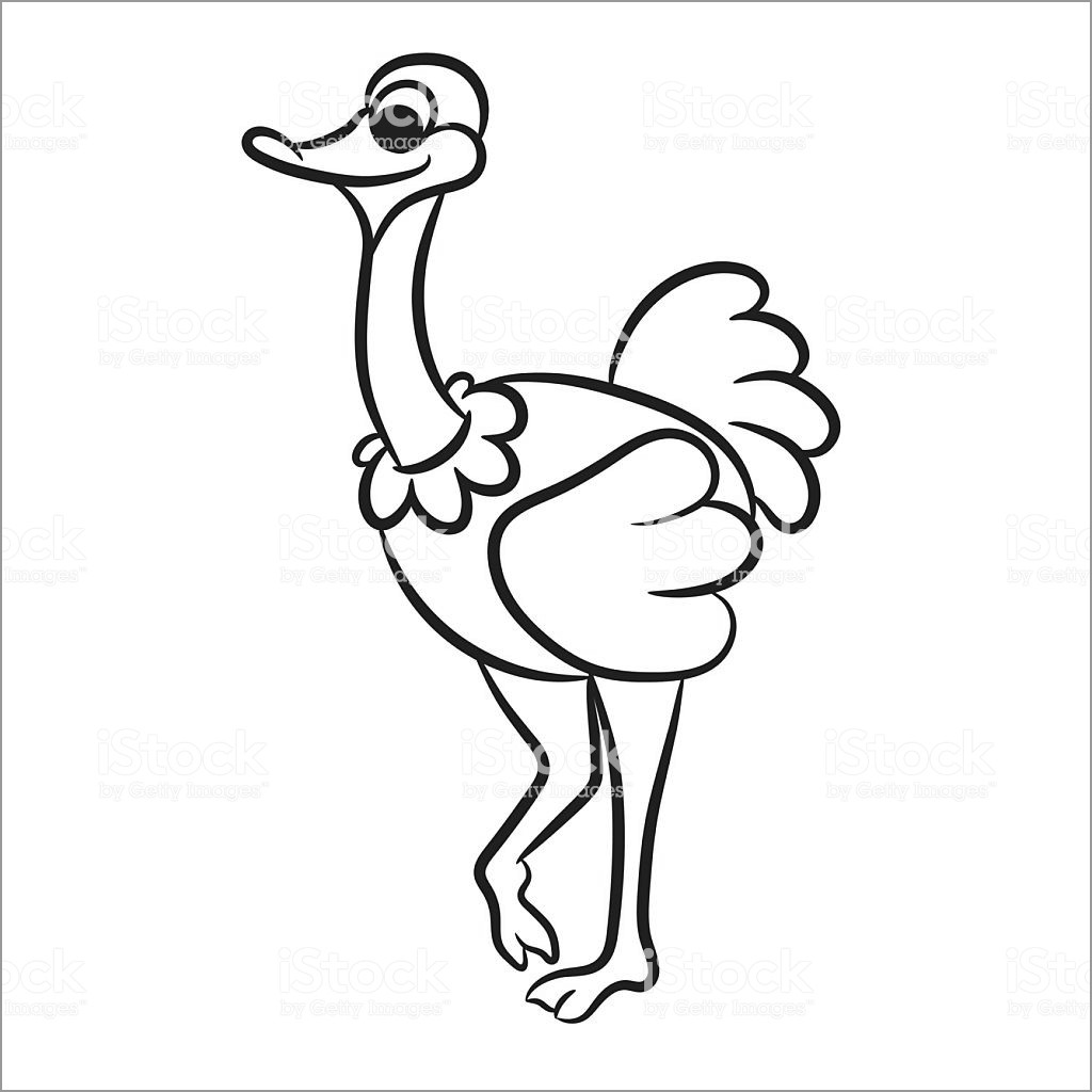 Cute Ostrich Coloring Pages