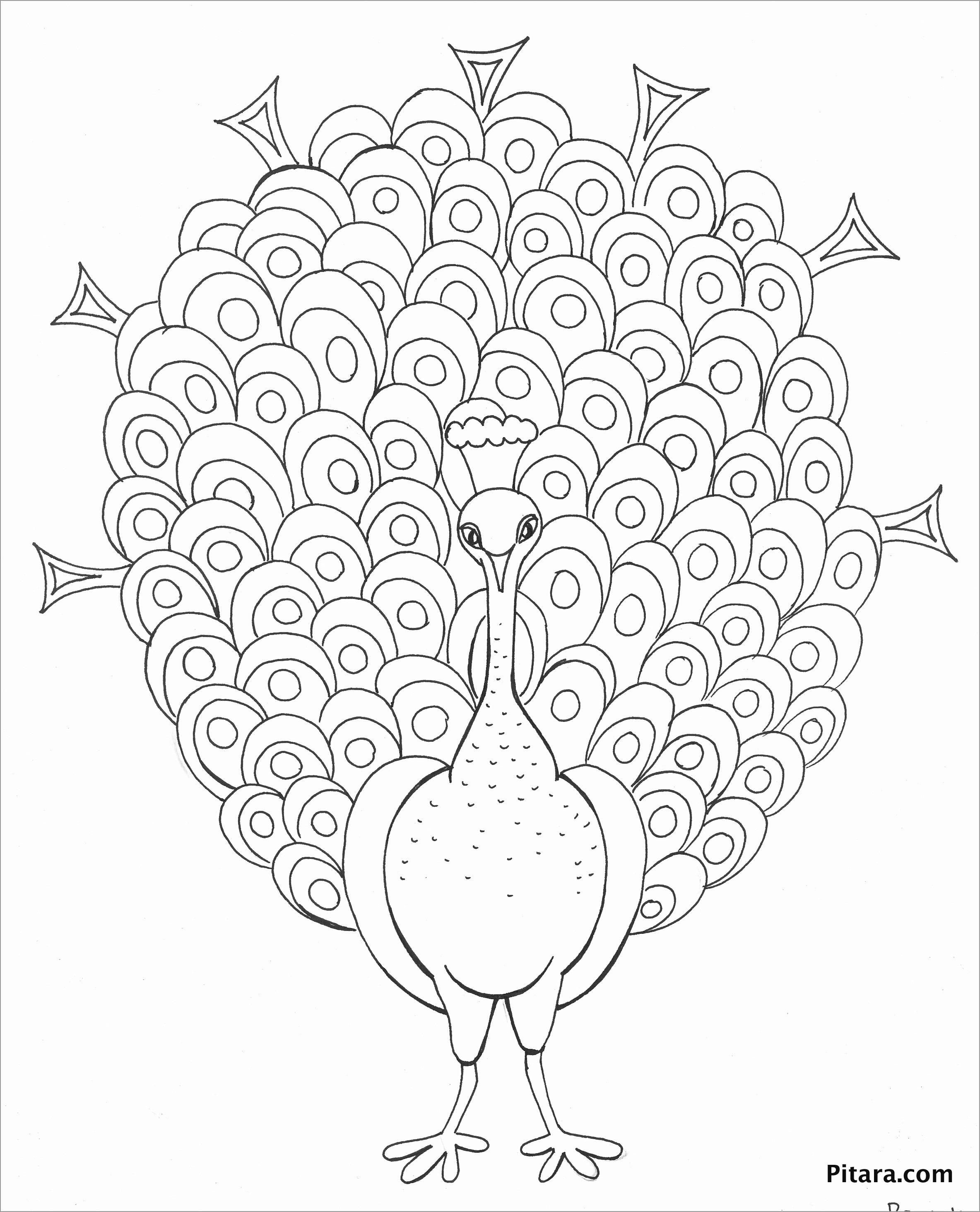 Cartoon Peacock Coloring Pages