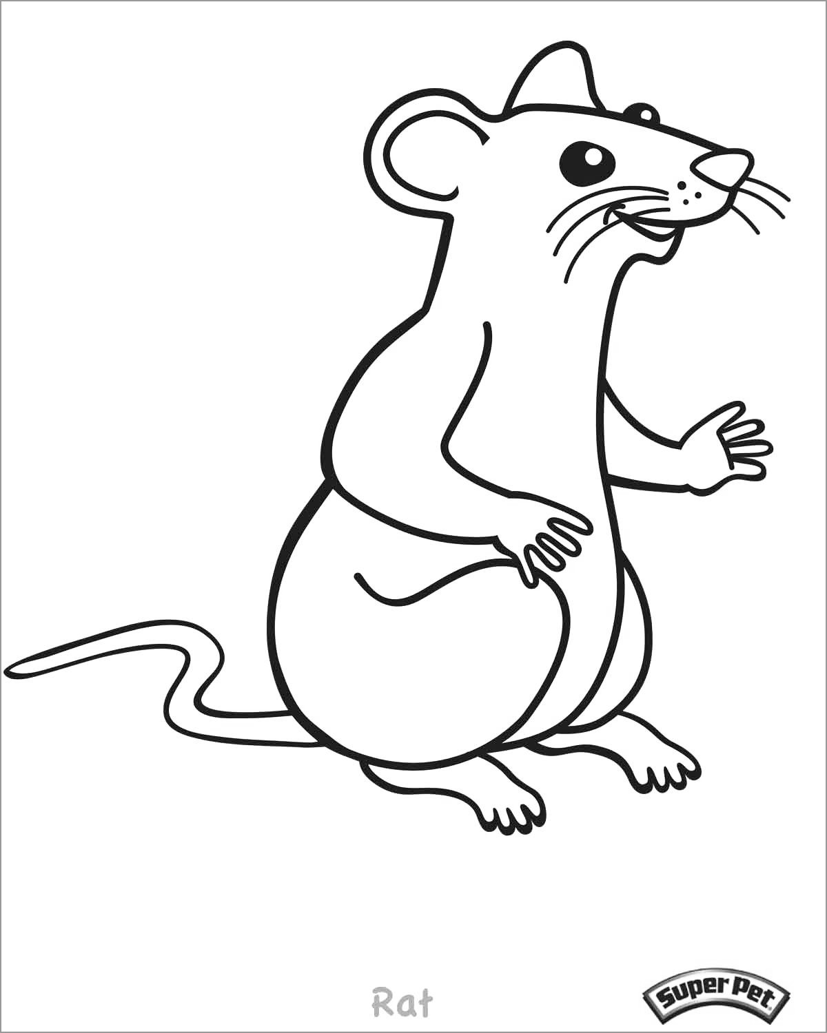 Funny Rat Coloring Page   ColoringBay