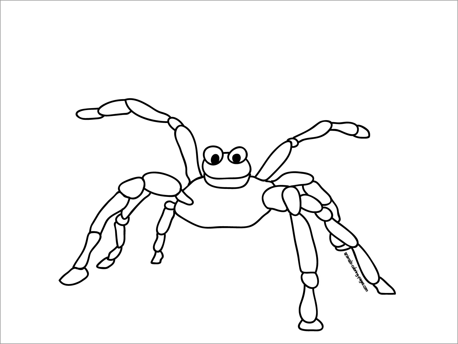 Cartoon Spider Coloring Page