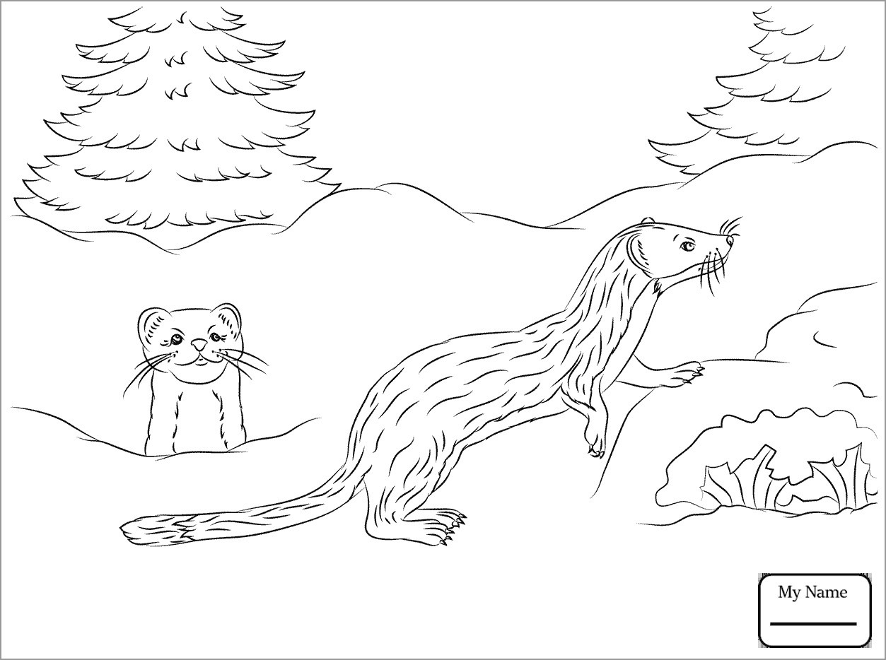 Cartoon Weasel Coloring Page