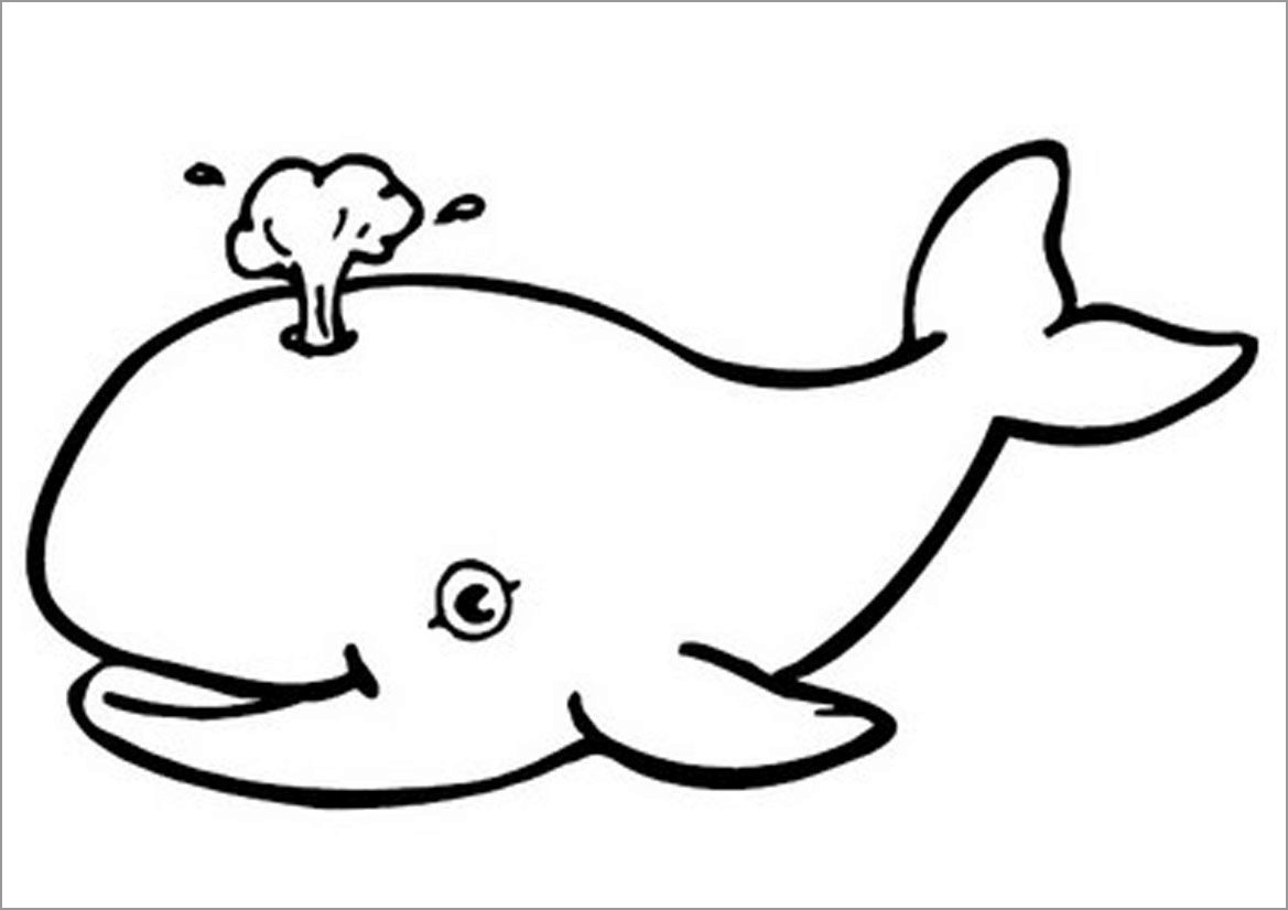 Cartoon Whale Coloring Page for Kids
