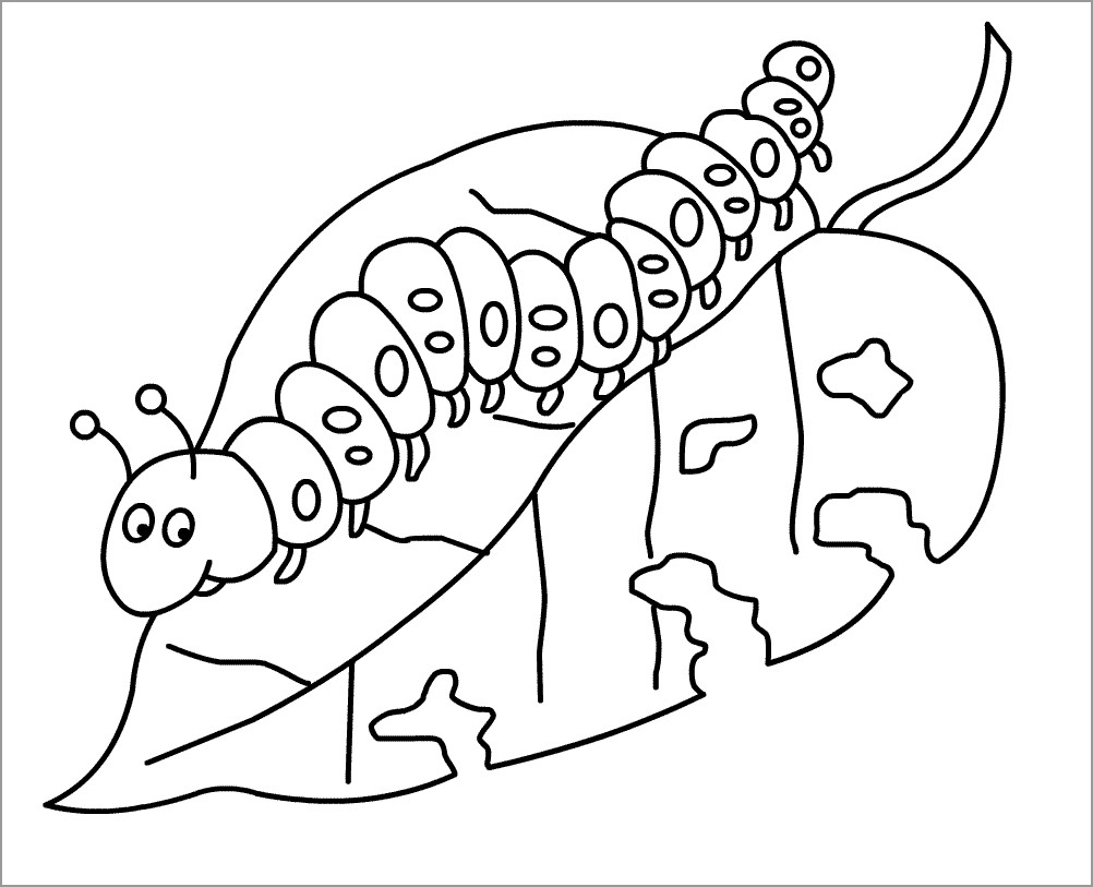 Caterpillar Coloring Pages   ColoringBay