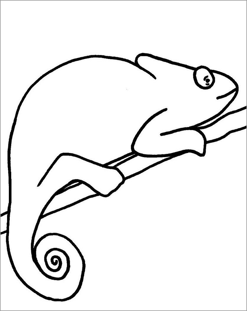 Chameleon Coloring Pages - ColoringBay