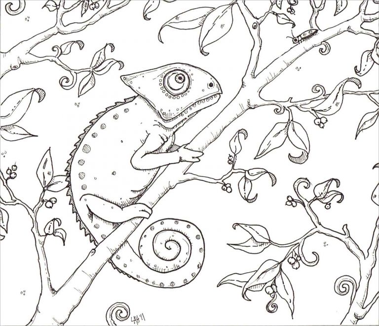 Free Animals Lives on Trees Coloring Page - ColoringBay