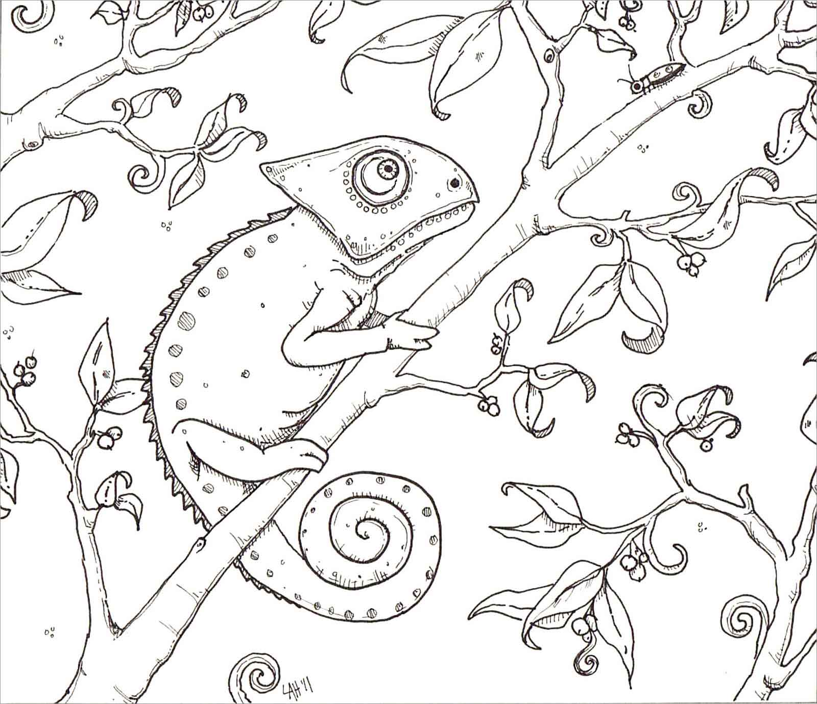 Chameleon Lives on Tree Coloring Page
