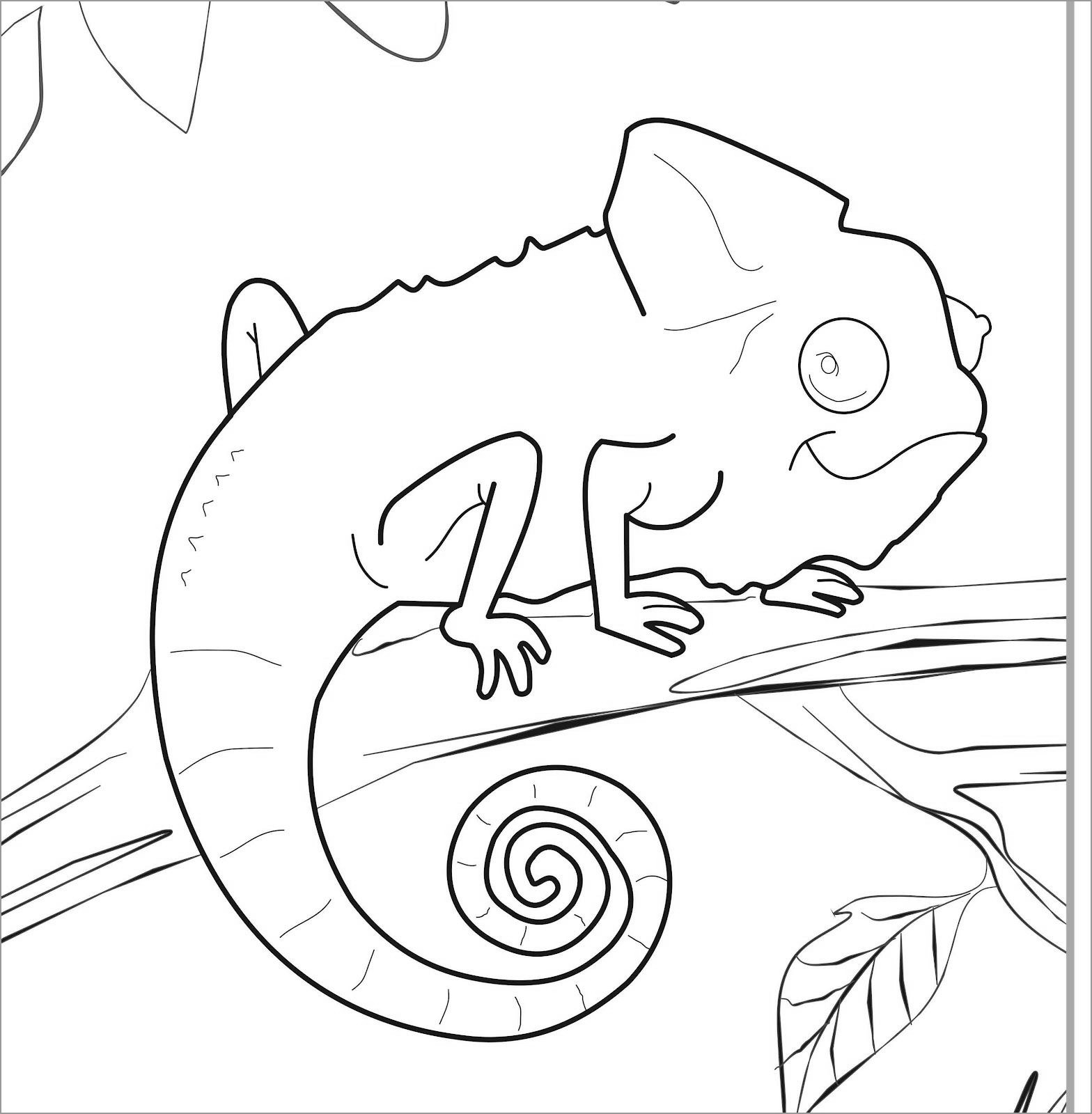 Chameleon Lizard Coloring Pages