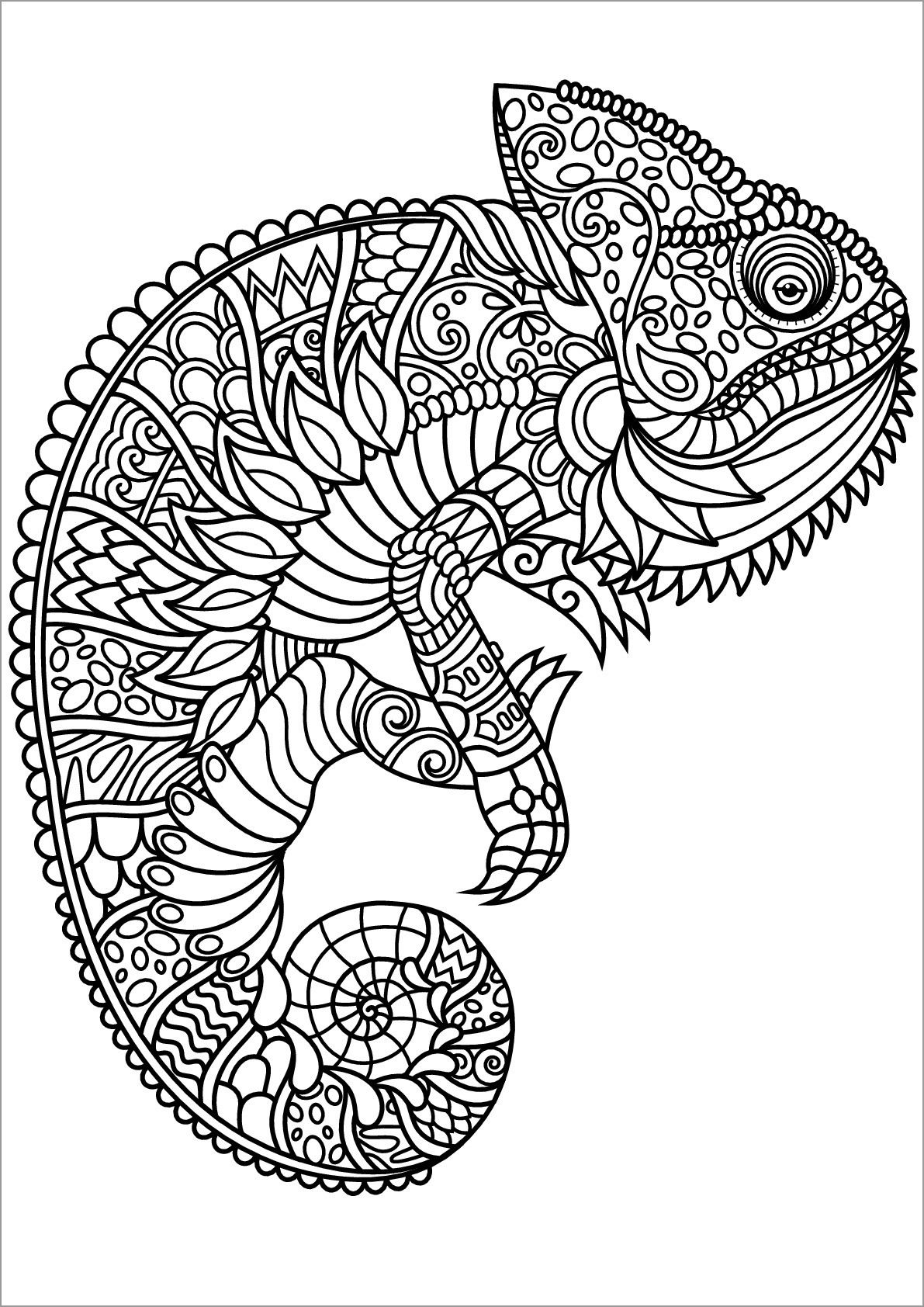 Chameleon Lizards Coloring Pages for Adult