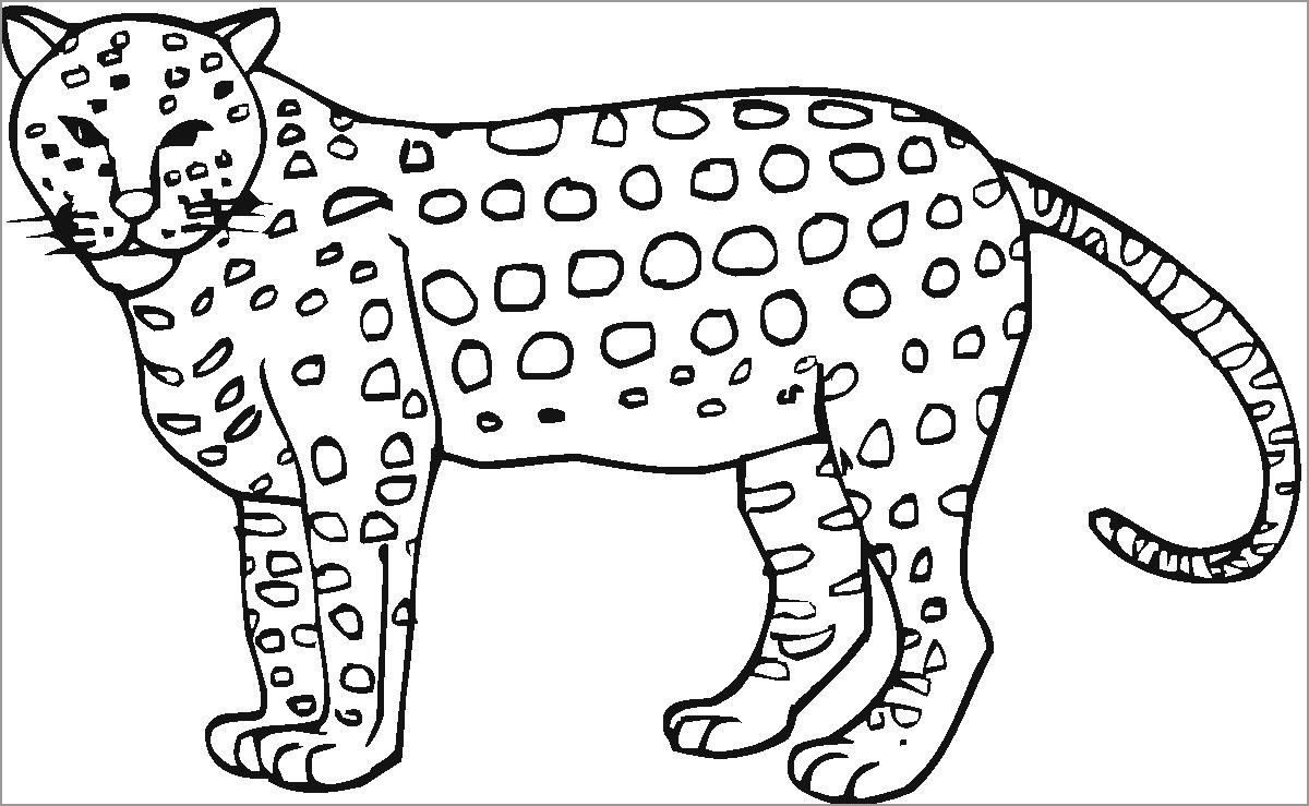 Cheetah Coloring Page for Kids