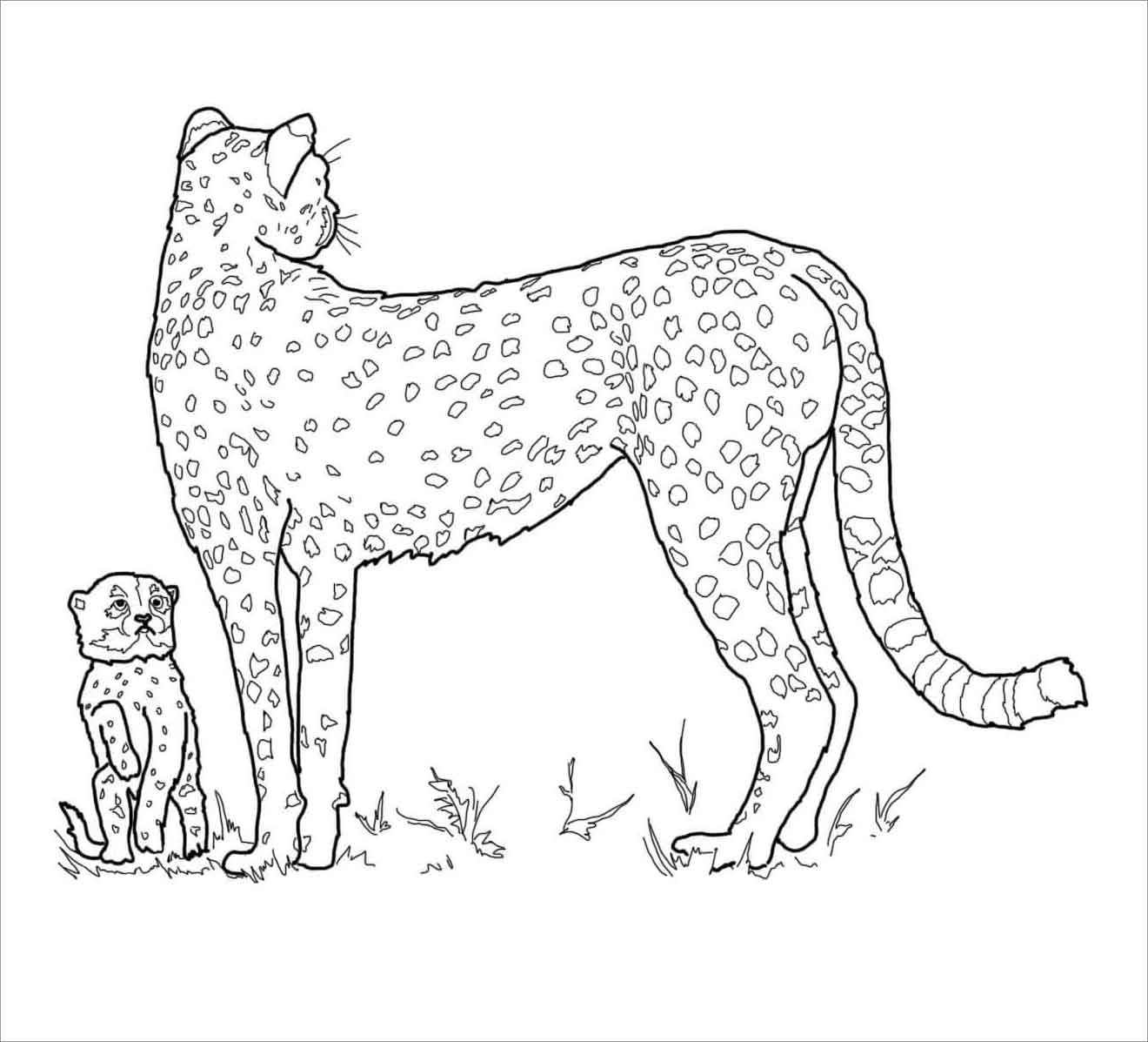 Cheetah Moms and Baby Coloring Page