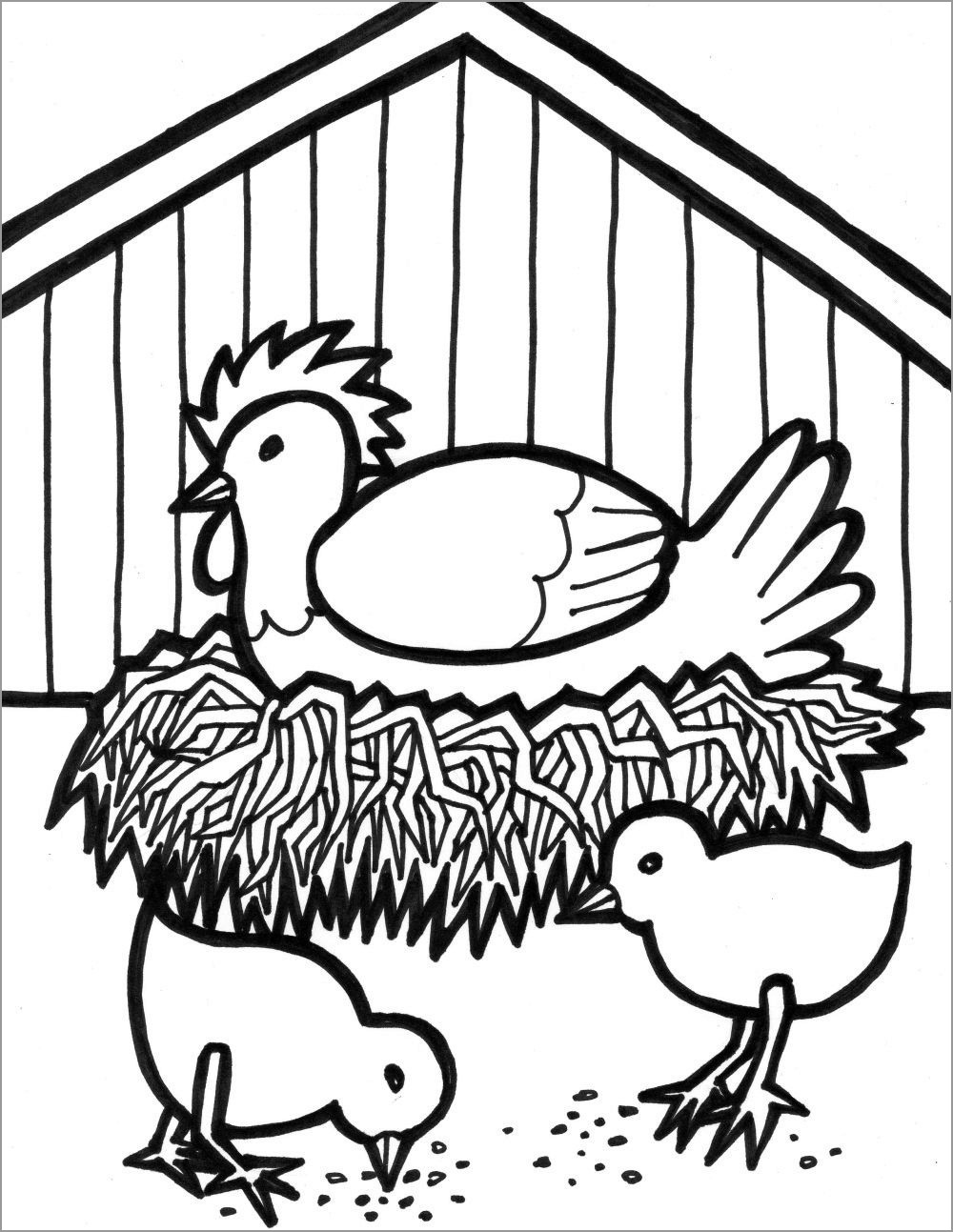 Free Chicken Printable Coloring Pages