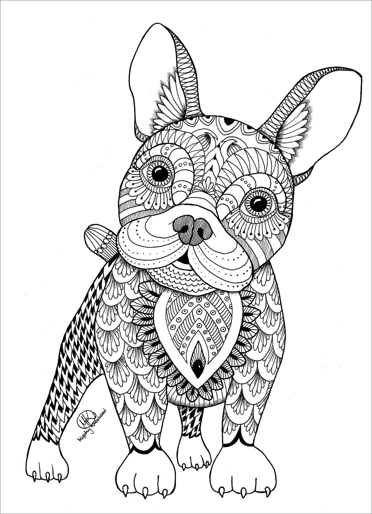 Chihuahua Coloring Pages for Adults
