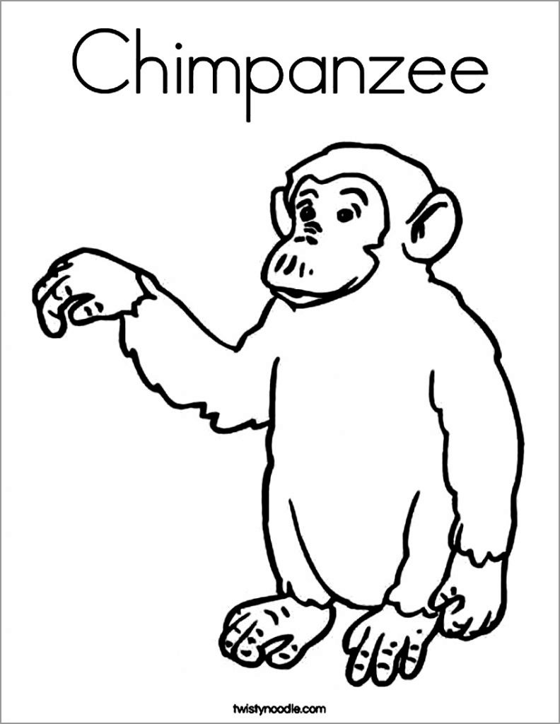 Chimpanzee Coloring Page to Print