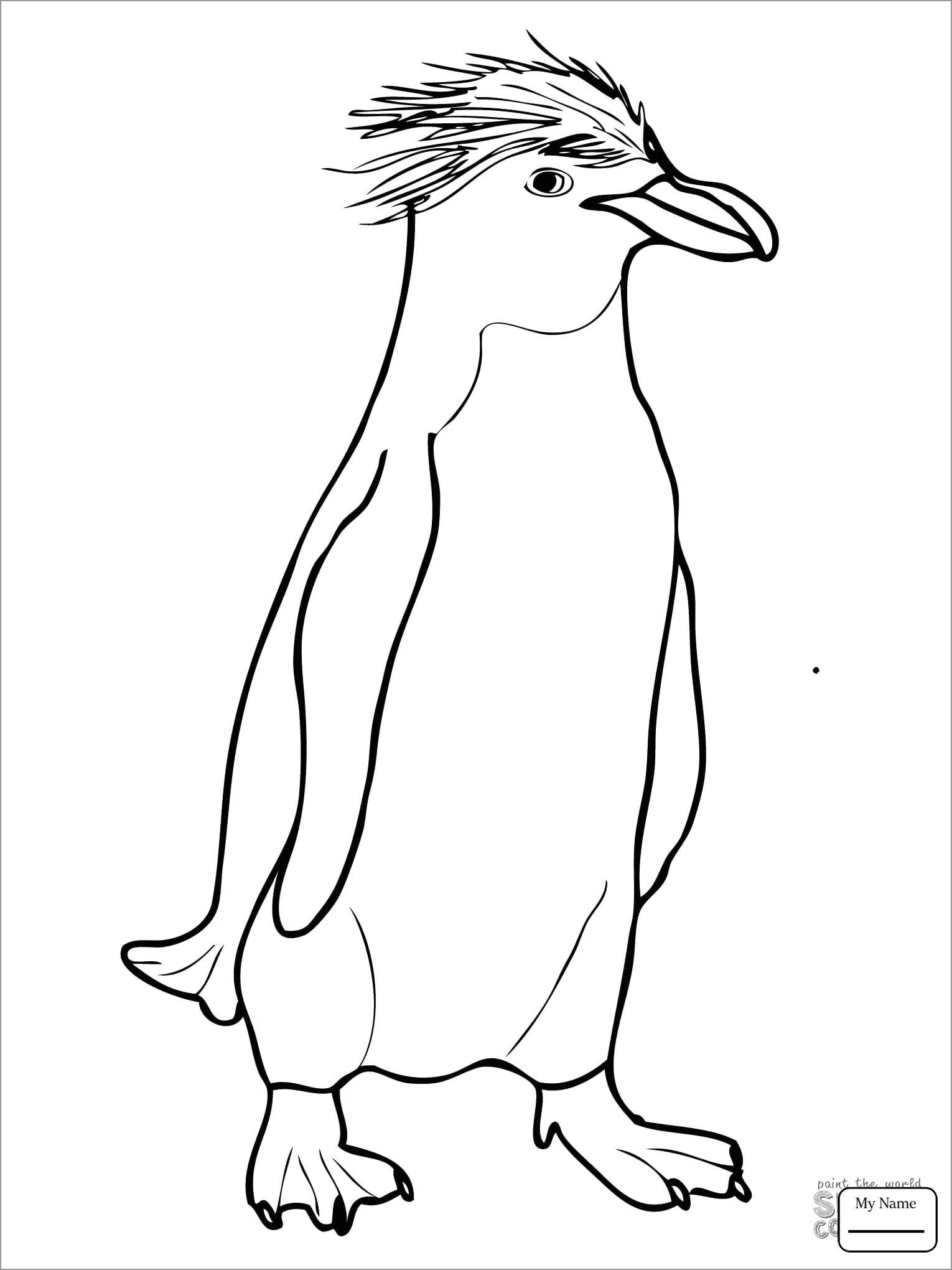 Christmas Penguin Coloring Pages to Print