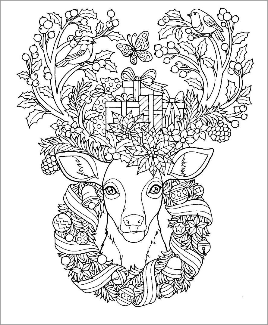 Reindeers Coloring Pages - ColoringBay