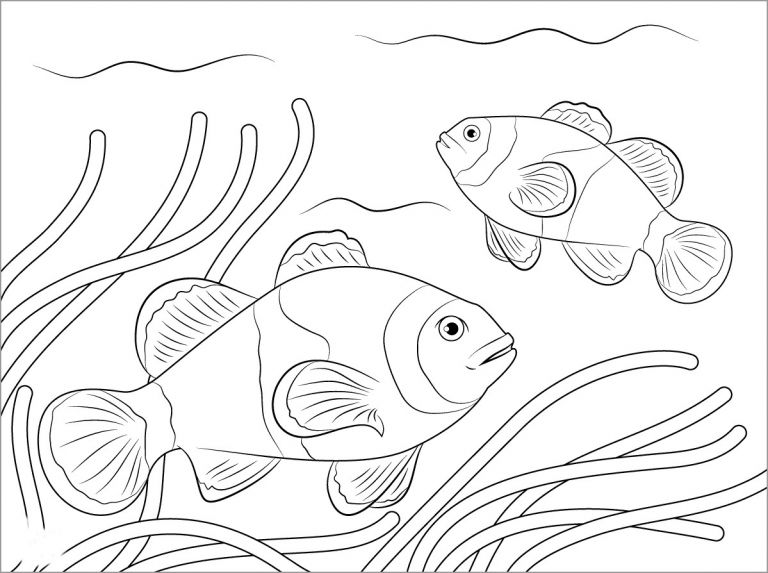 Clownfish Coloring Page to Print - ColoringBay