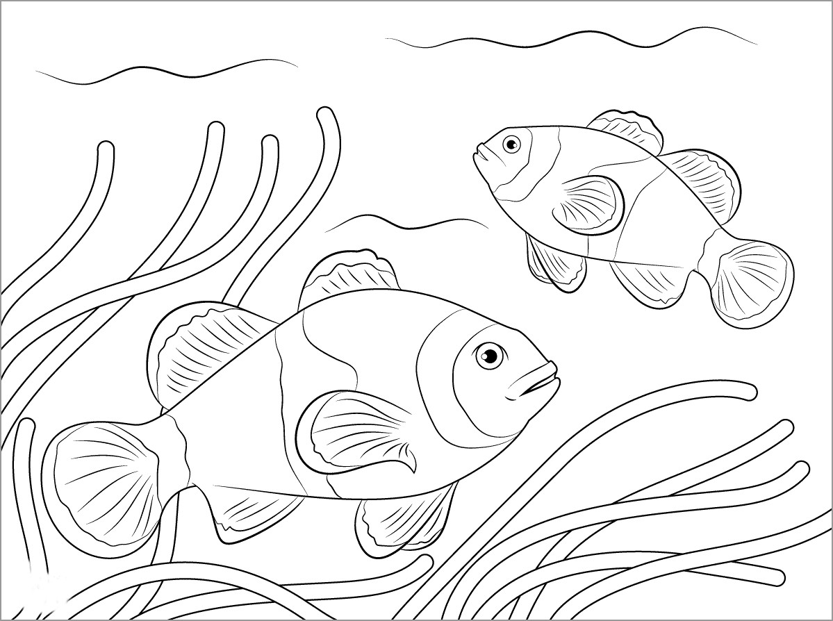 Clownfish Coloring Page To Print Coloringbay