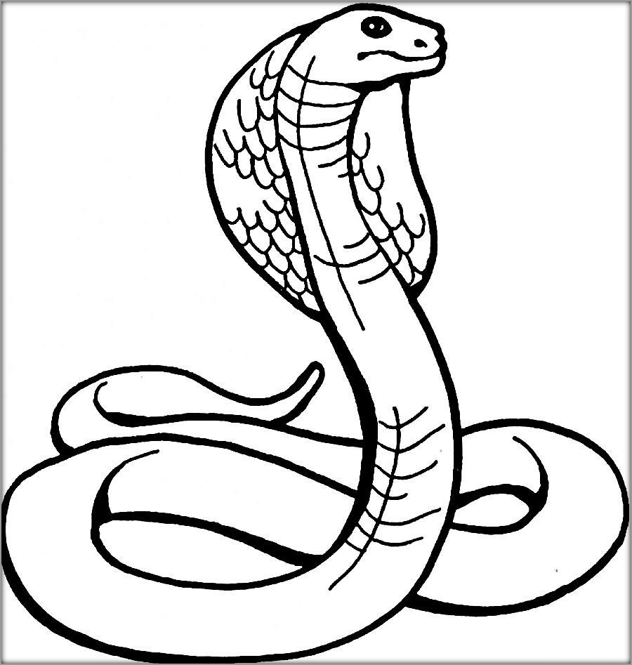 Cobra Snake Coloring Page