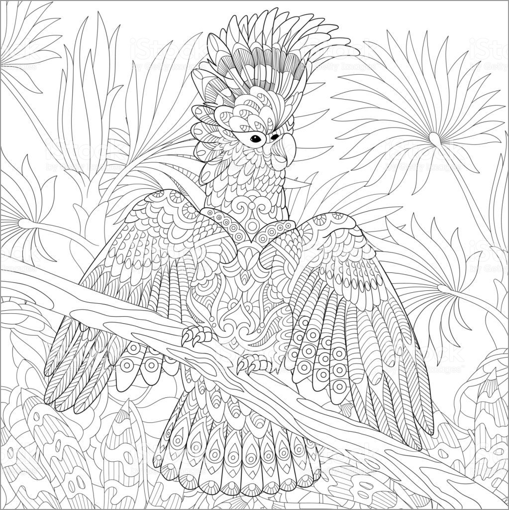 Cockatoo Coloring Page for Adult