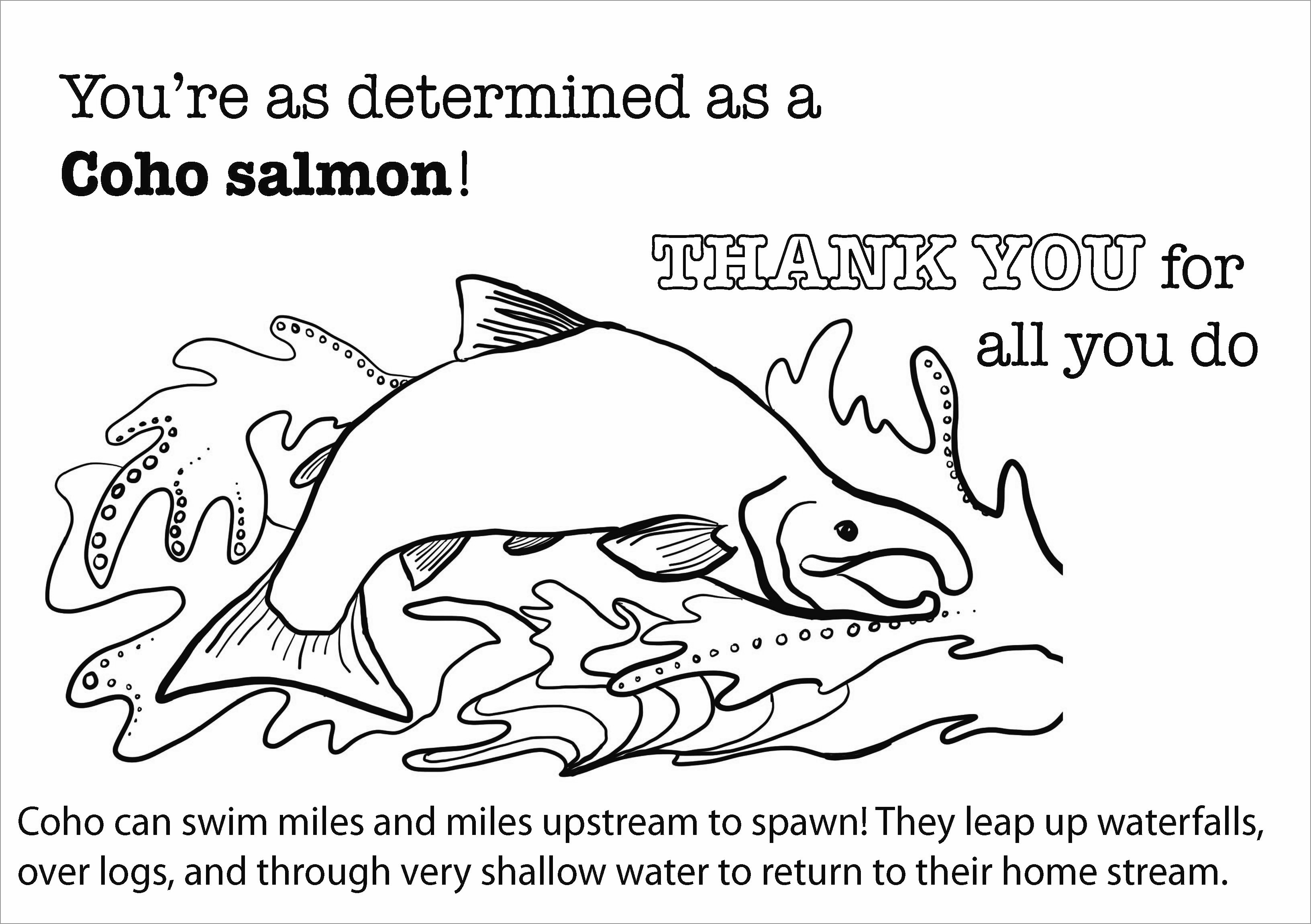 Coho Salmon Coloring Page