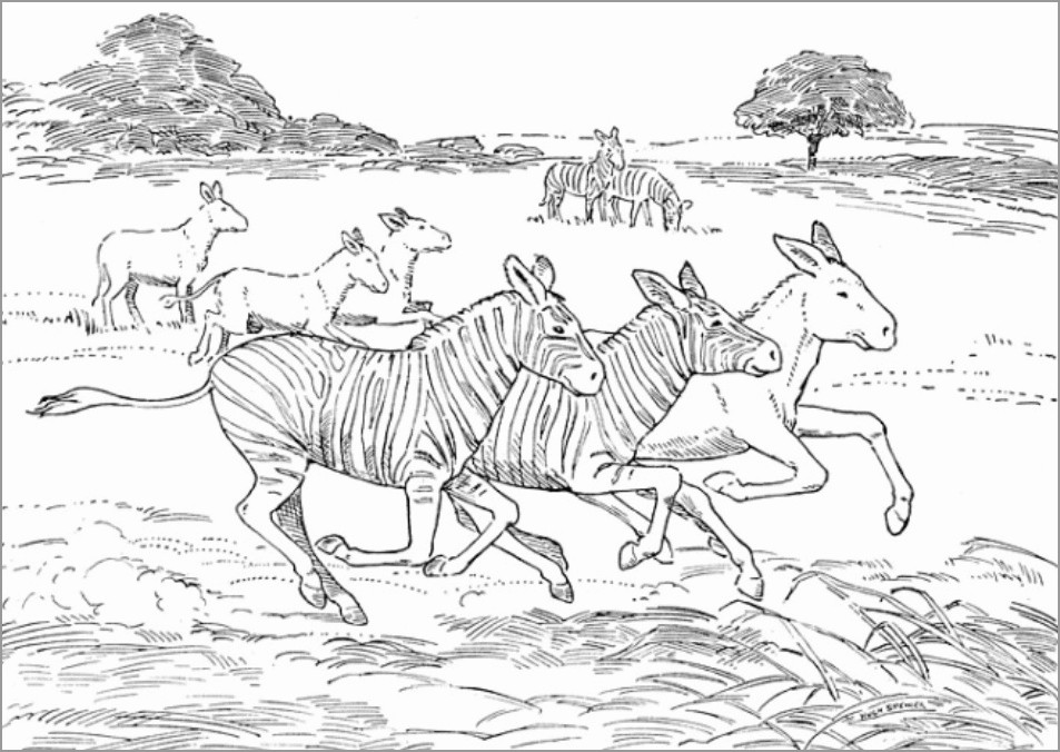 Download African Animals Coloring Page - ColoringBay