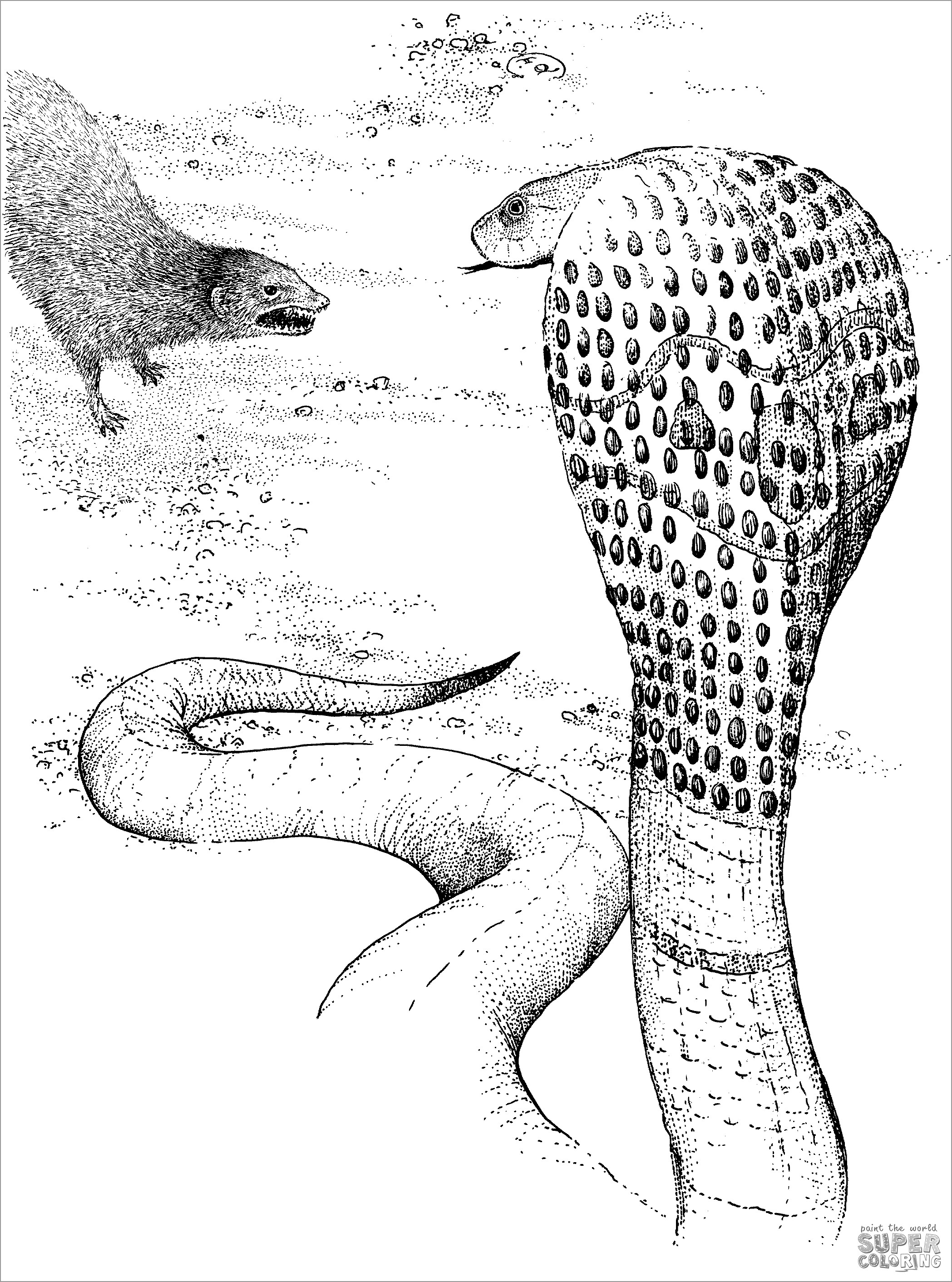 Coloring Page Of A Cobra