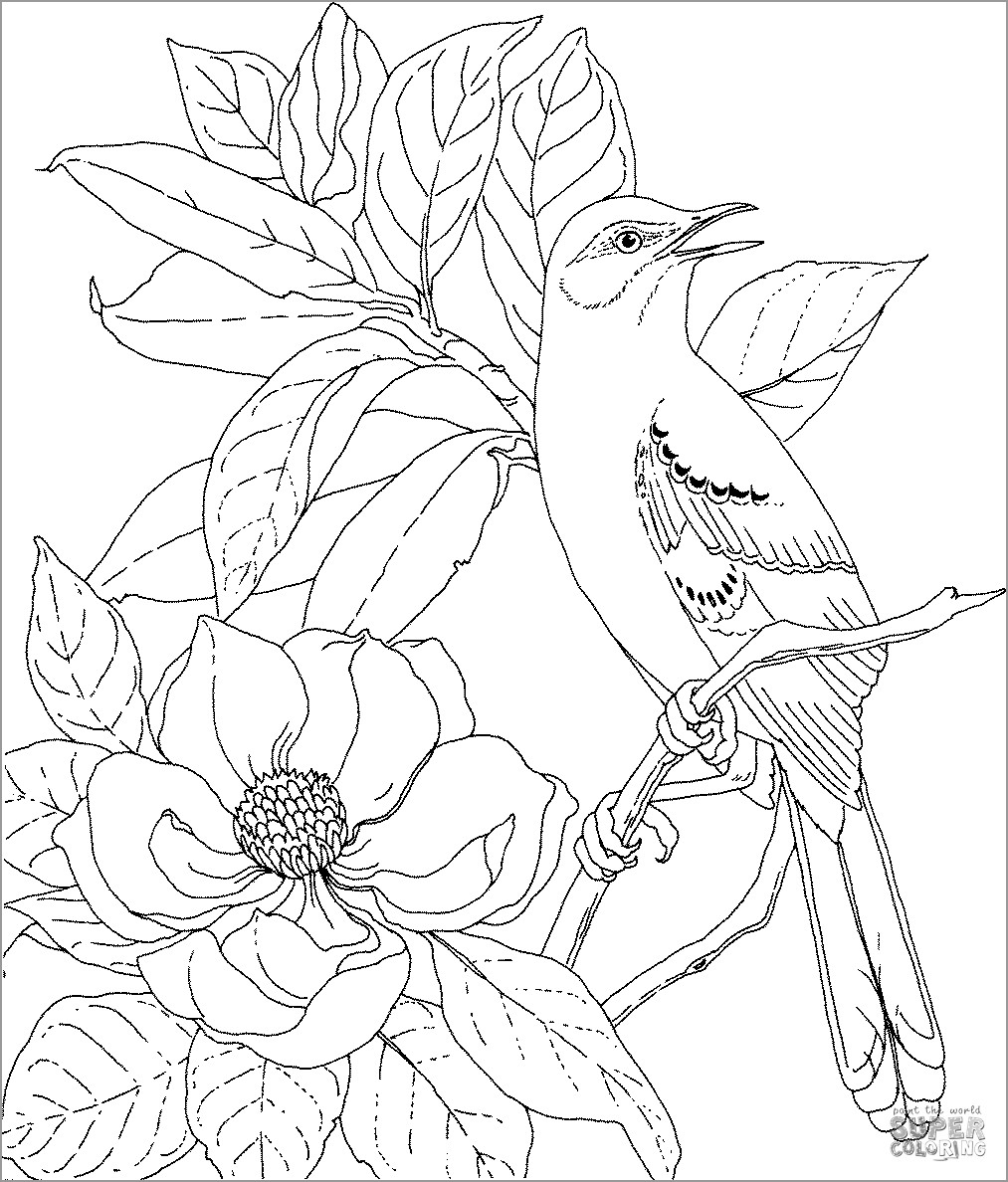 Coloring Page Of A Mockingbird