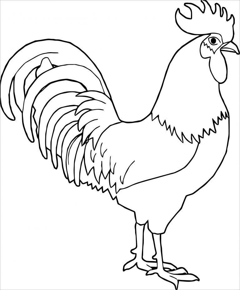 Coloring Page Of A Rooster - ColoringBay