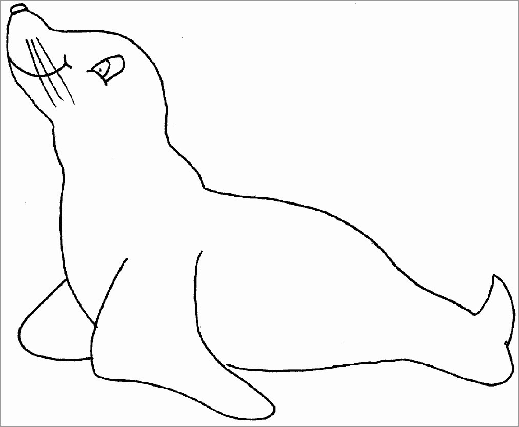 Coloring Page Of A Seal