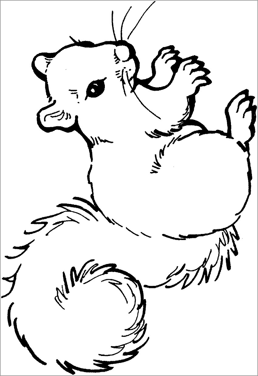 Coloring Page Of A Squirrel