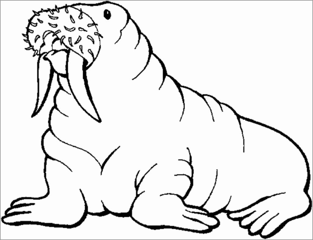 Coloring Page Of A Walrus